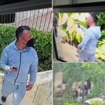 Una discusión entre huéspedes de un hotel de Grupo Xcaret derivó en una balacera que dejó al menos tres heridos