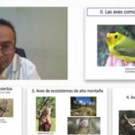 Analiza UAT el impacto del cambio climático en especies de aves