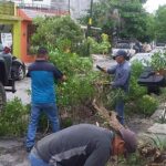 Gobierno municipal intensifica trabajos de rehabilitación y embellecimiento de la ciudad