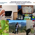 Desarrolla UAT proyecto sobre insectos indicadores de calidad ambiental en áreas urbanas