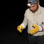 Estudia UAT la importancia de los murciélagos en ecosistemas de Tamaulipas