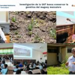 Investigación de la UAT busca conservar la genética del maguey mezcalero