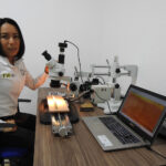 Analiza la UAT patrones de lluvia y efectos del cambio climático en pinos piñoneros