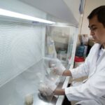 Estudia la UAT nuevos compuestos en especies de insectos comestibles