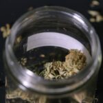 Ohio buscará colocar la legalización de cannabis como tema en la boleta electoral