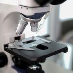 Secretaría de Salud registra 300 casos de lepra en México