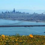 Limpian San Francisco de vagabundos por visita de mandatarios a la APEC