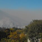 Estudia la UAT el impacto de la urbanización y contaminación en la vegetación en México